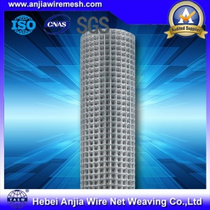 Galvanized Welded Wire Mesh Wire Net and Concrete Wire Sheet