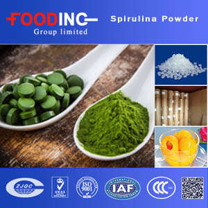 China Buy Flake Organic Spirulina Manufactures FDA
